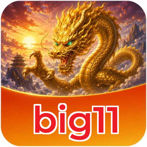 Logo big11